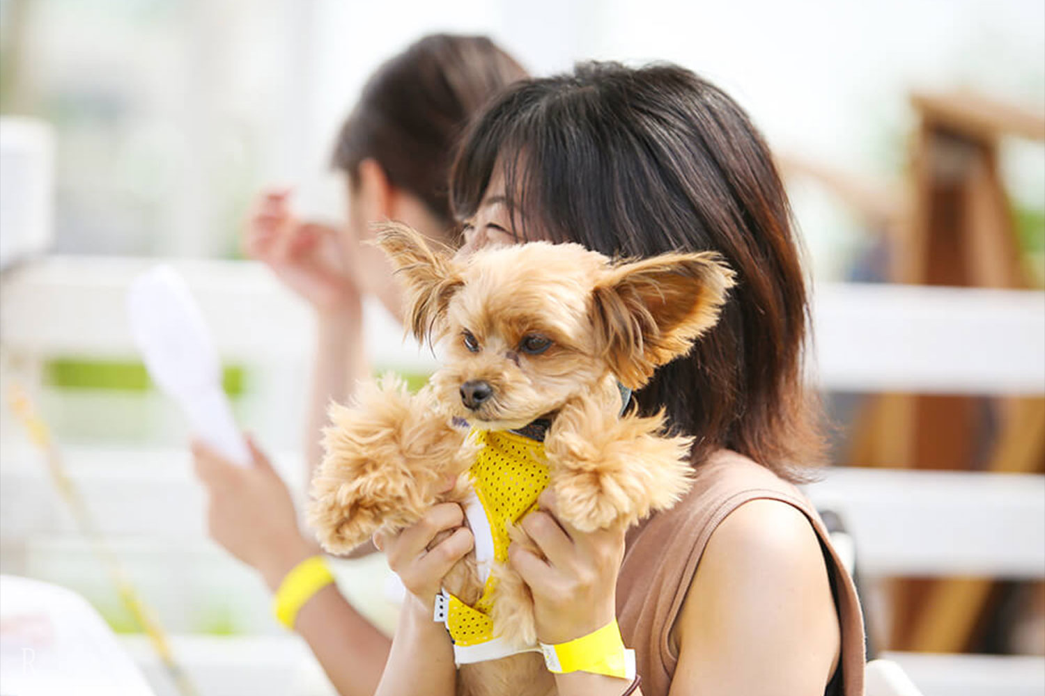 愛犬の宿泊料金は無料