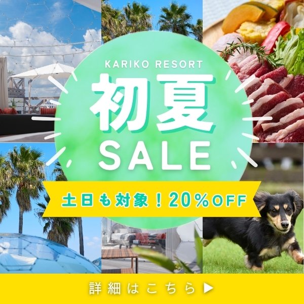 初夏セール期間限定20％off