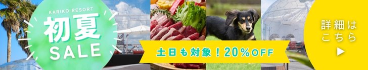 初夏セール期間限定20％off